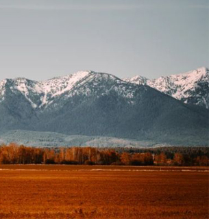 IRS Tax office in Montana